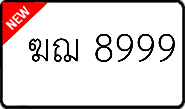 ฆฌ 8999